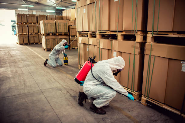 Best Best Pest Control Companies  in Dayton, WA