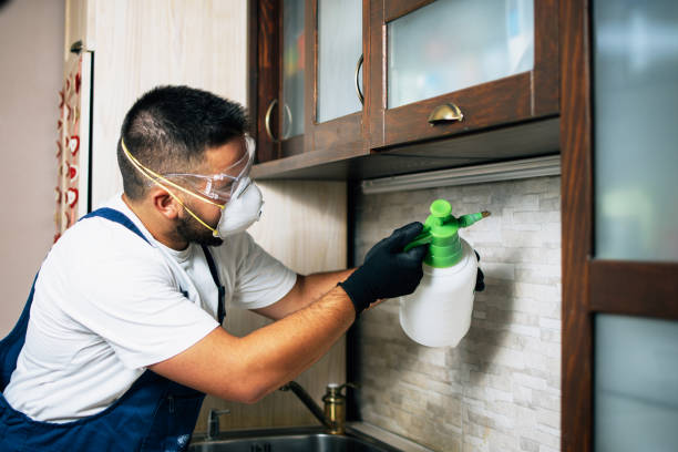 Best Bed Bug Extermination  in Dayton, WA