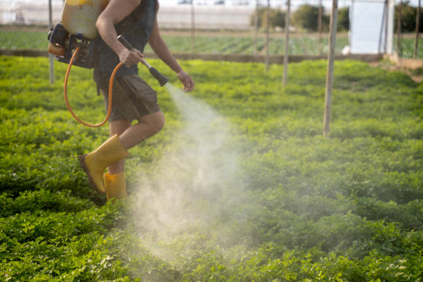 Best Pest Removal Services  in Dayton, WA