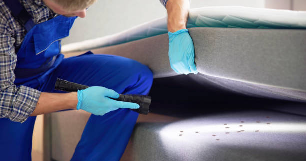 Best Affordable Exterminators  in Dayton, WA