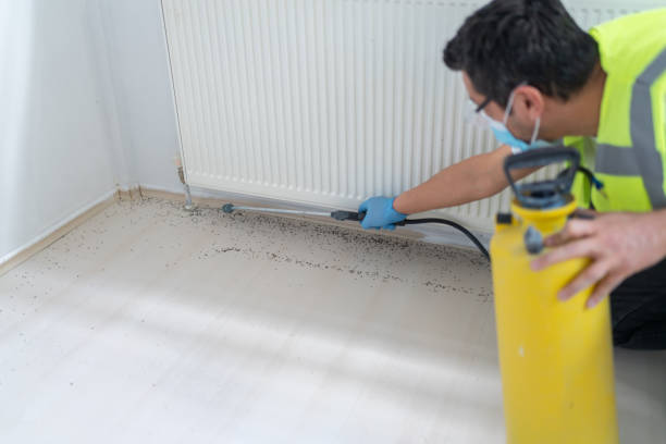 Best Cockroach Control Services  in Dayton, WA