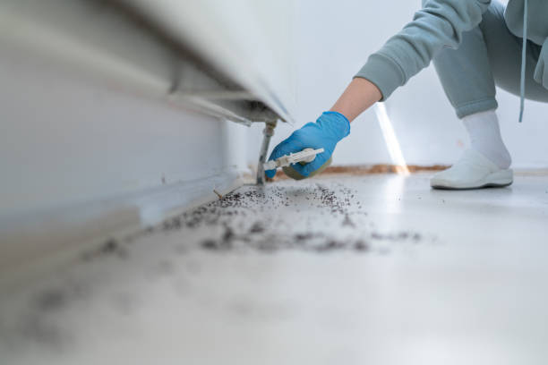 Best Spider Control Near Me  in Dayton, WA